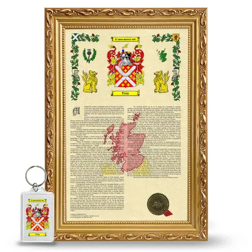 Teny Framed Armorial History and Keychain - Gold