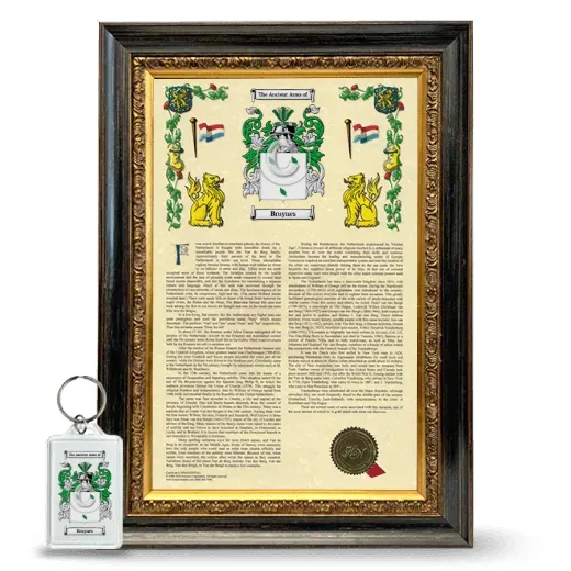 Bruynes Framed Armorial History and Keychain - Heirloom