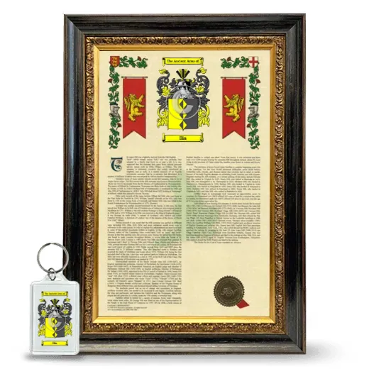 Ilin Framed Armorial History and Keychain - Heirloom