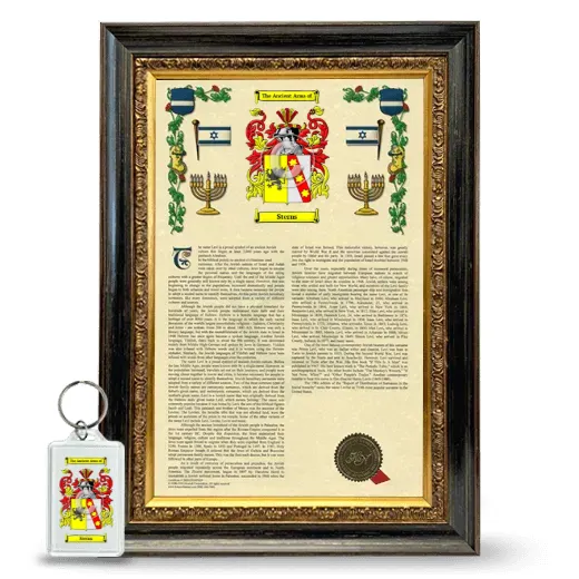 Sterns Framed Armorial History and Keychain - Heirloom