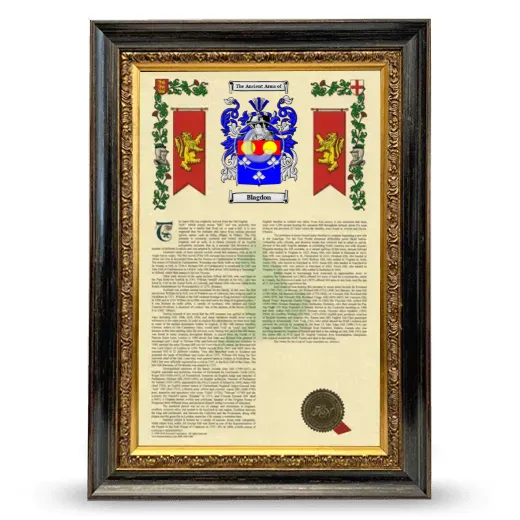 Blagdon Armorial History Framed - Heirloom