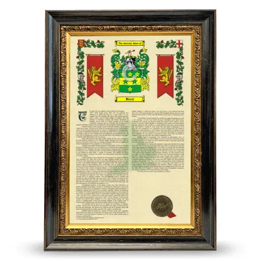 Bracy Armorial History Framed - Heirloom