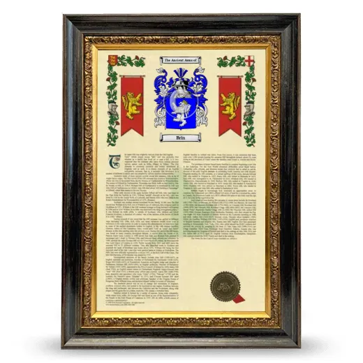 Brin Armorial History Framed - Heirloom