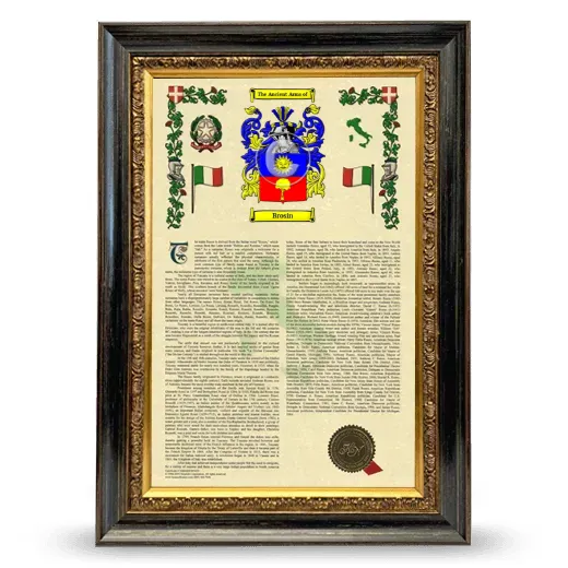 Brosin Armorial History Framed - Heirloom