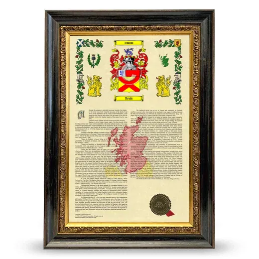 Bruis Armorial History Framed - Heirloom
