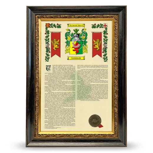 Cattermole Armorial History Framed - Heirloom