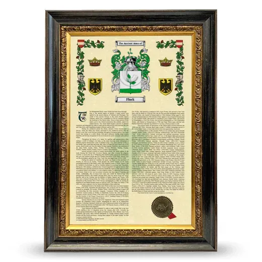 Fluck Armorial History Framed - Heirloom