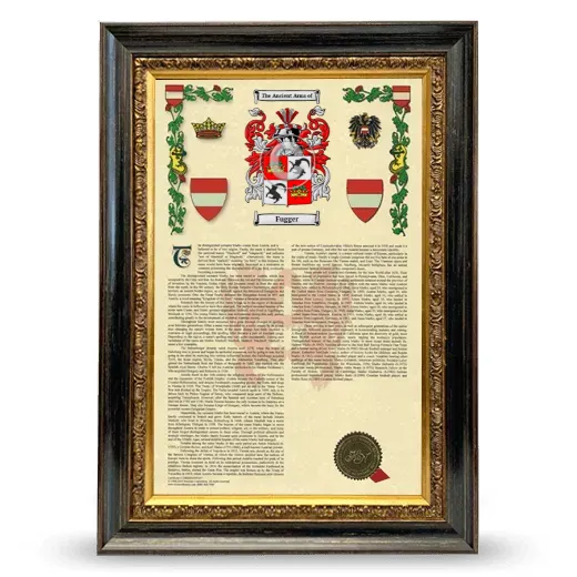 Fugger Armorial History Framed - Heirloom