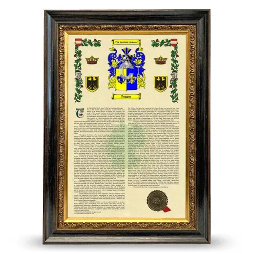 Fugger Armorial History Framed - Heirloom