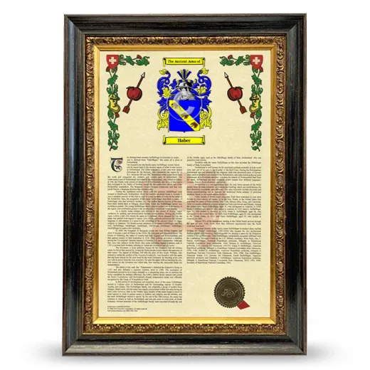 Haber Armorial History Framed - Heirloom