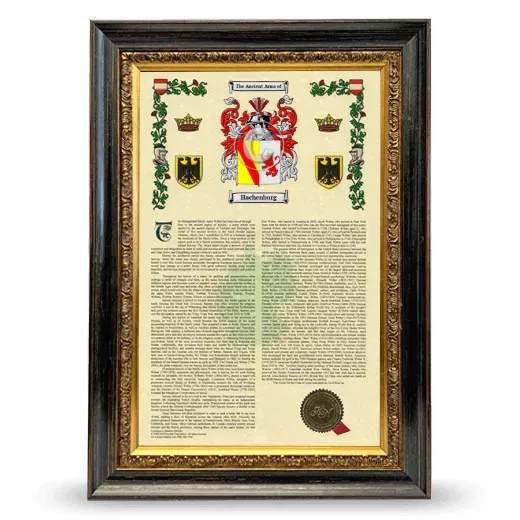 Hachenburg Armorial History Framed - Heirloom