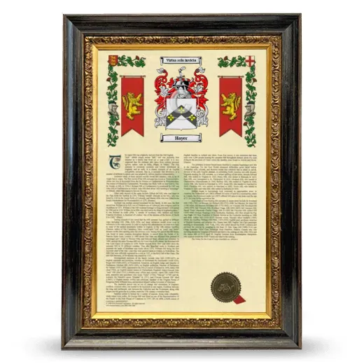 Hayer Armorial History Framed - Heirloom