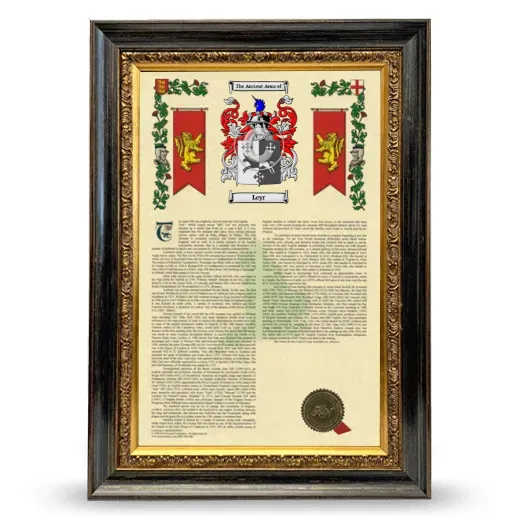 Leyr Armorial History Framed - Heirloom