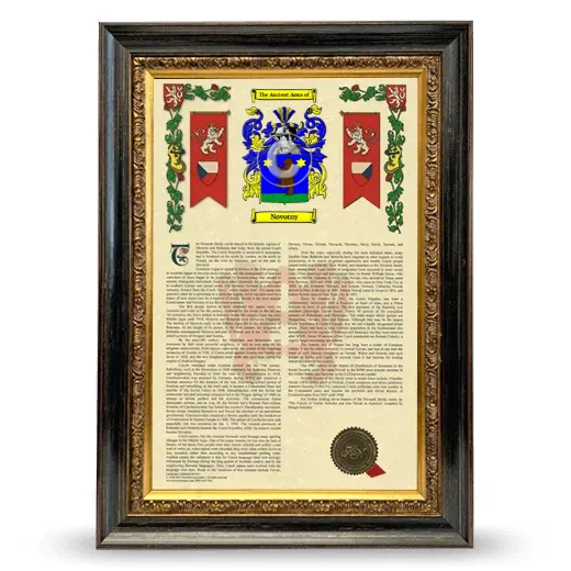 Novotny Armorial History Framed - Heirloom