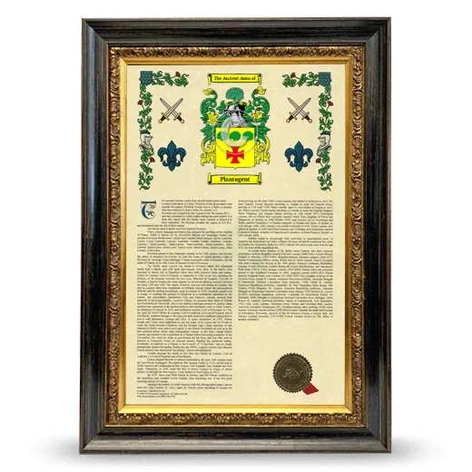 Plantagent Armorial History Framed - Heirloom