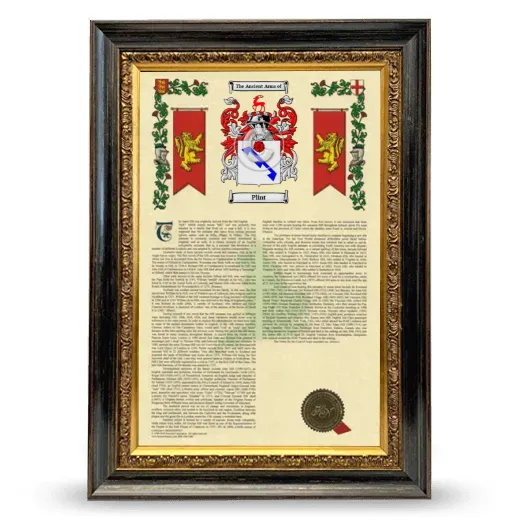 Plint Armorial History Framed - Heirloom