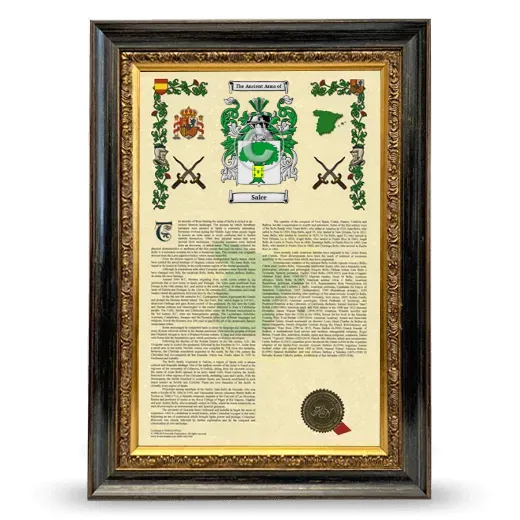 Salce Armorial History Framed - Heirloom