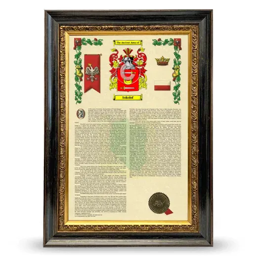 Sokolof Armorial History Framed - Heirloom