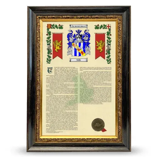 Solís Armorial History Framed - Heirloom