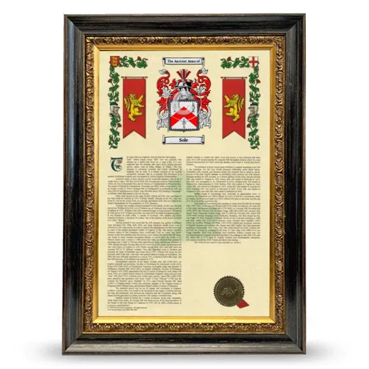 Sole Armorial History Framed - Heirloom
