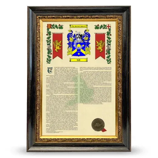 Solt Armorial History Framed - Heirloom