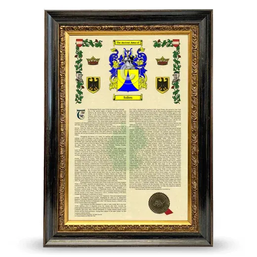 Soltes Armorial History Framed - Heirloom