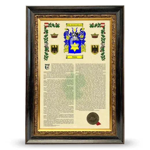 Sturn Armorial History Framed - Heirloom