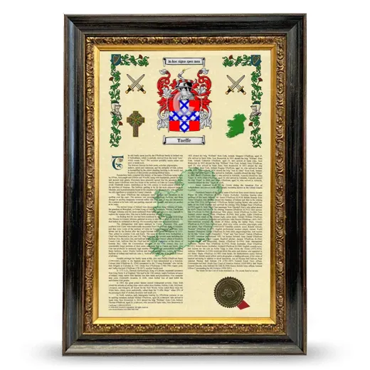 Taeffe Armorial History Framed - Heirloom