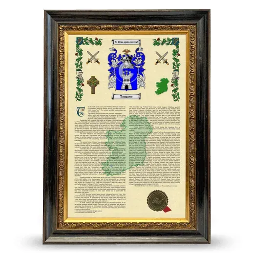 Tangney Armorial History Framed - Heirloom