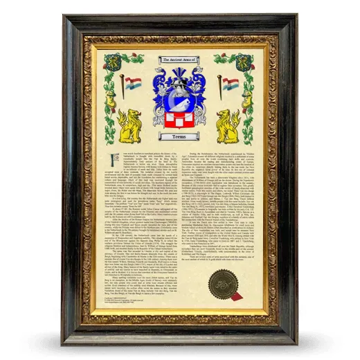 Teems Armorial History Framed - Heirloom