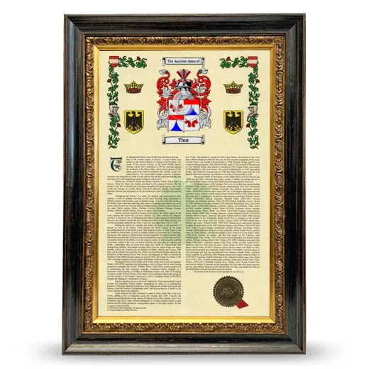 Thur Armorial History Framed - Heirloom