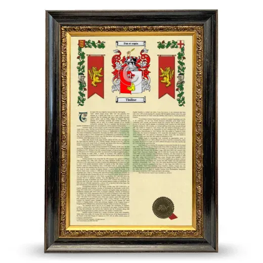 Tinline Armorial History Framed - Heirloom