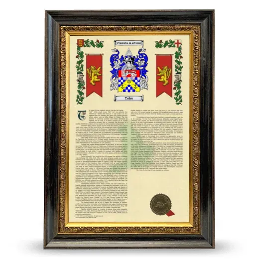 Toley Armorial History Framed - Heirloom
