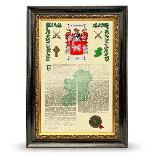 Tolin Armorial History Framed - Heirloom