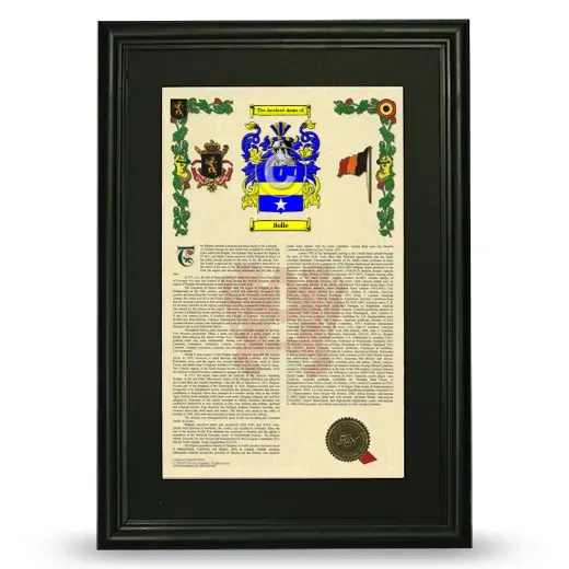 Bolle Deluxe Armorial Framed - Black