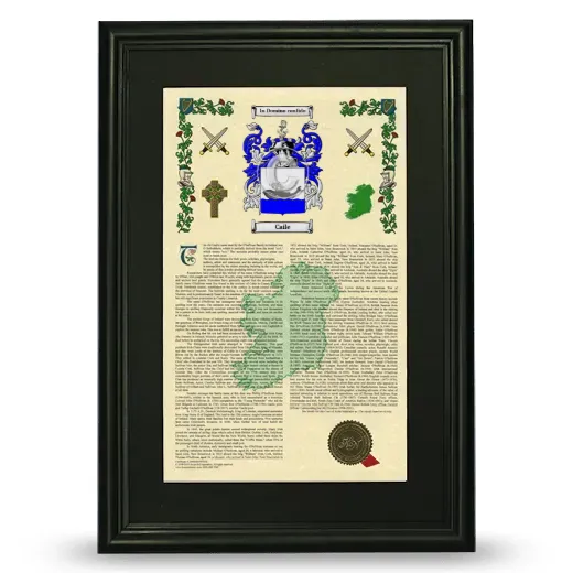 Caile Deluxe Armorial Framed - Black