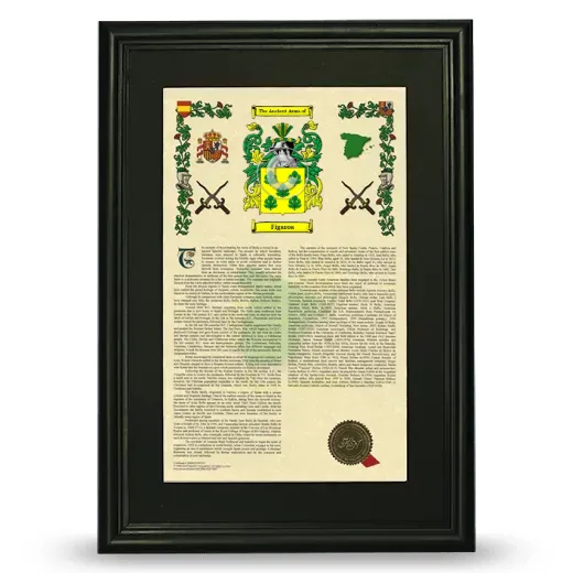 Figaroa Deluxe Armorial Framed - Black