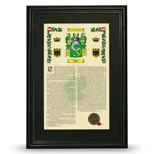 Phifer Deluxe Armorial Framed - Black