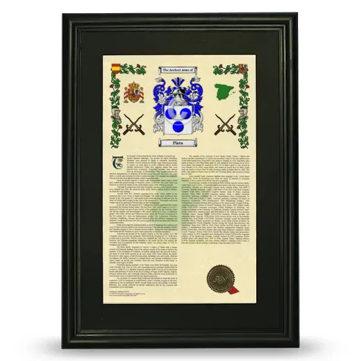 Plata Deluxe Armorial Framed - Black