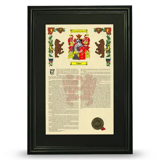 Popov Deluxe Armorial Framed - Black