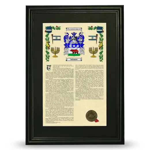 Salomon Deluxe Armorial Framed - Black