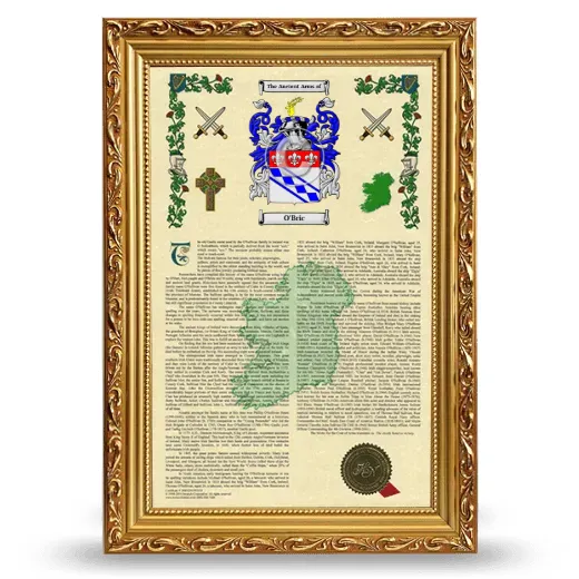 O'Bric Armorial History Framed - Gold