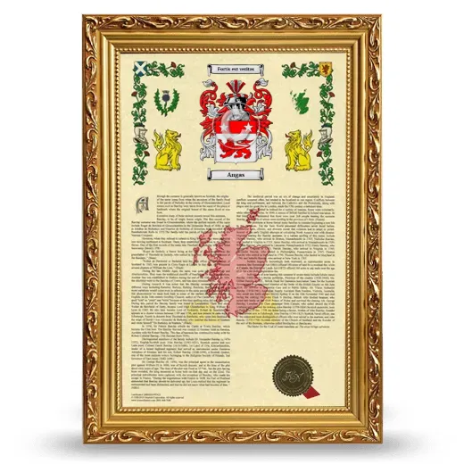 Angas Armorial History Framed - Gold
