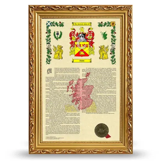 Ason Armorial History Framed - Gold