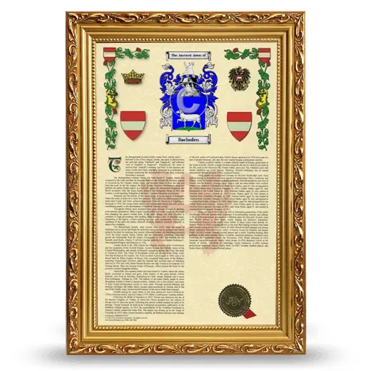 Bachofen Armorial History Framed - Gold