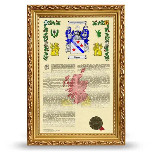 Biggor Armorial History Framed - Gold