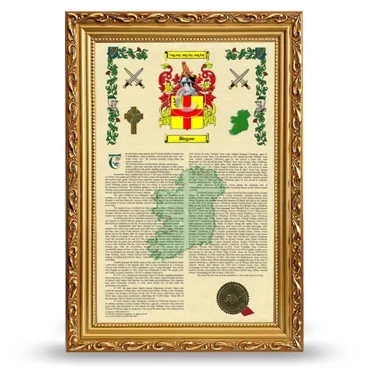 Birgow Armorial History Framed - Gold