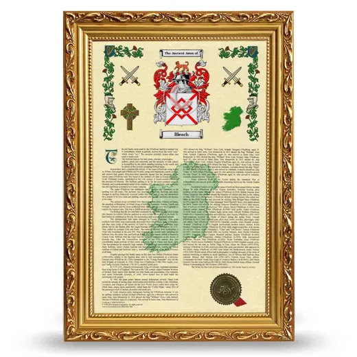 Bleach Armorial History Framed - Gold