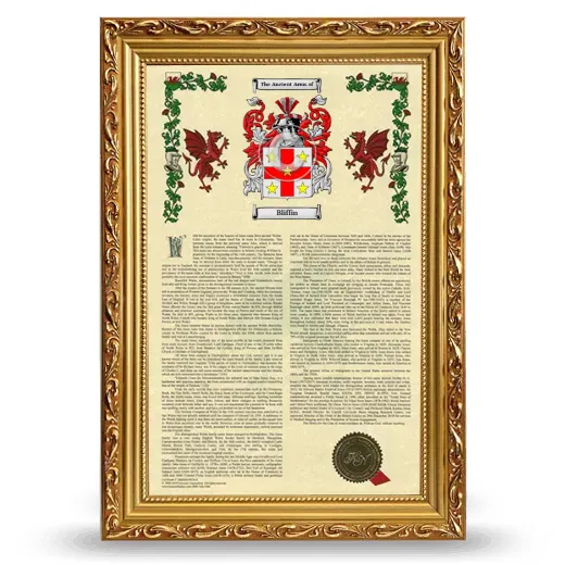 Bliffin Armorial History Framed - Gold