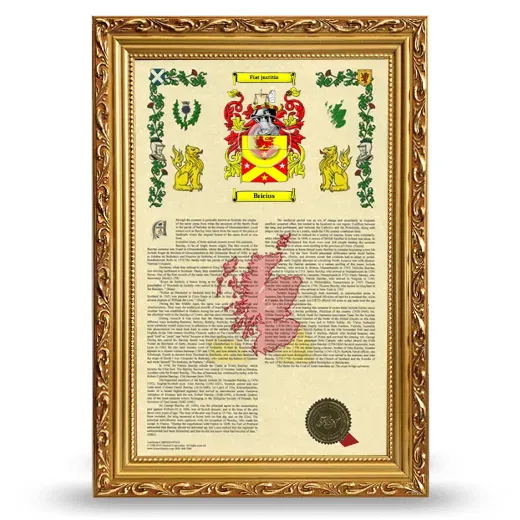 Bricius Armorial History Framed - Gold